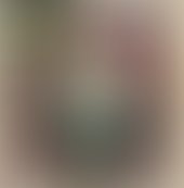 Madness170 1260886695