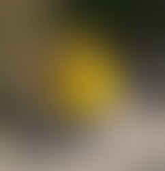 1354197565 248291375182793 125050 n