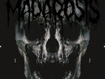 Madarosis
