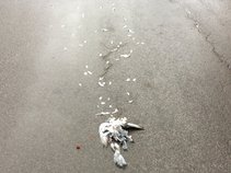 Louis-David, Le Maniac à la Chanson