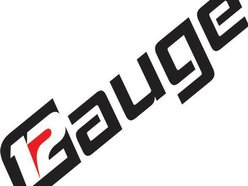 Twelvve Gauge