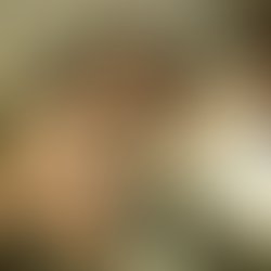 Img 20170228 153357 460