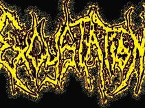 Excystation
