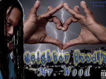 Mr Mr WooD