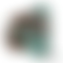 0381dee2 84c7 4725 bf9f 0ee713d16742