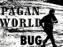 BUG