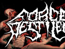 Forced Pestilence