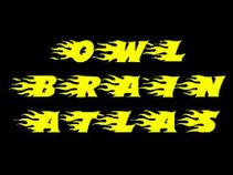 OWL BRAIN ATLAS