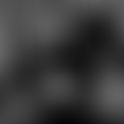 4116811208 c827b2b421 b 1264001432