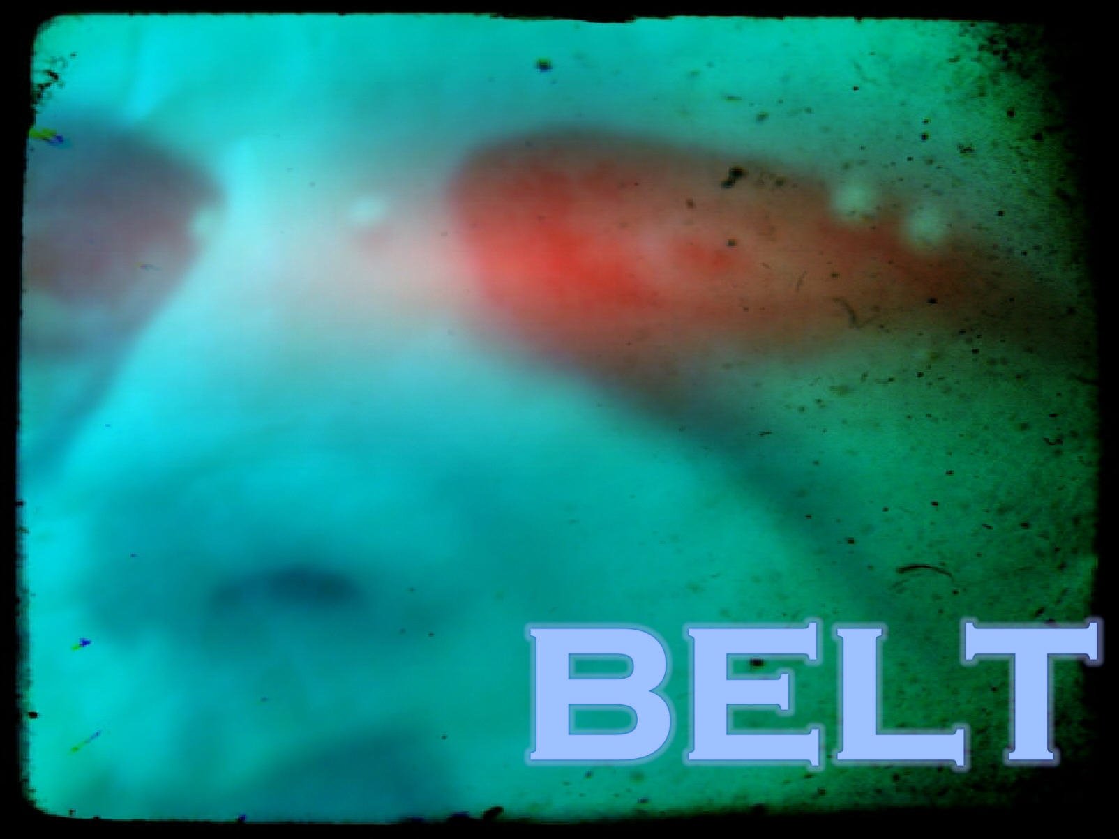 ReverbNation profile picture for @belt