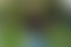 9 8 2010 1 09 30 pm 1295311896