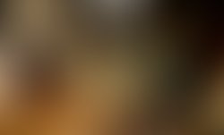 1355097458 1 1 couleur2
