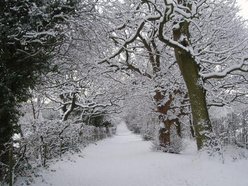 PAUL DUNN - SONGWRITER