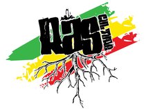 Ras Culture