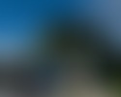 1393258442 poochamungas 9675