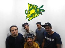 Arye de Siul