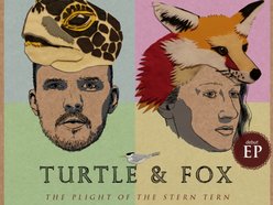 Image for Turtle & Fox