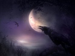 Grave Raven