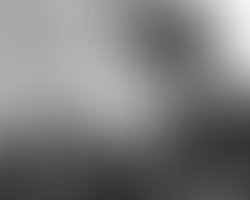 1355870212 img 7760 copy