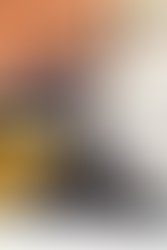 1336153023 mario edinburg city hall ii