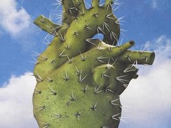 Image for Heavy Nopalzin