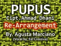 Re-Arrangement - Pupus