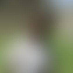 1356266068 472534396121538 1957874283 n