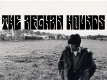 The Afghan Hounds