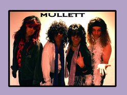 Image for Mullett