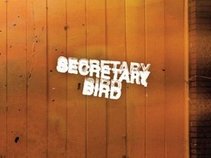 Secretary Bird