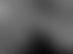 Photo 11 1266038618 1266077597