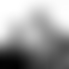 2010 duo  240x240  1 1285087557