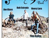 baileyglass band
