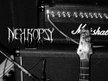 NEKROPSY