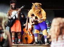 Bears and Lions
