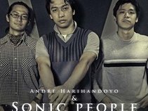 andre harihandoyo and sonic people