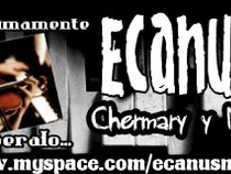 Ecanus