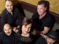 Image for Panic the Band