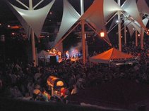 Frontiers | The Journey Tribute
