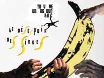 Le Désespoir Des Singes