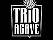 Image for Trio Agave