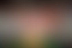 1358357457 pantonesmadrid