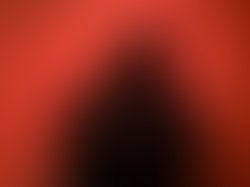 Img 7663