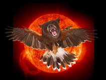 BearHawk