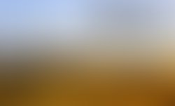 1458389470 disponible en cd baby