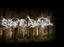 Sons of Aadam