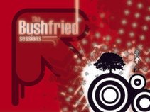 bushfried