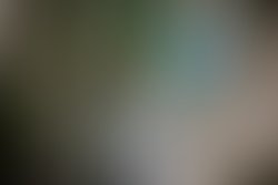 1366685448 dylan 121