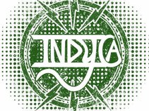 Indyca