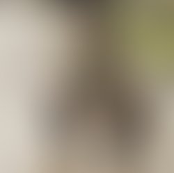 56447b77 aba6 4e80 b9f8 d0ce9f2f0bf4